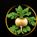 Maca Root